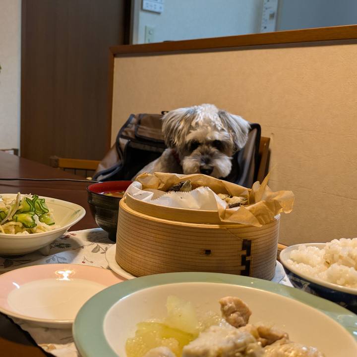 48cf7df8 6b94 4dd4 a55c 3ed6317f1882 1758932976321