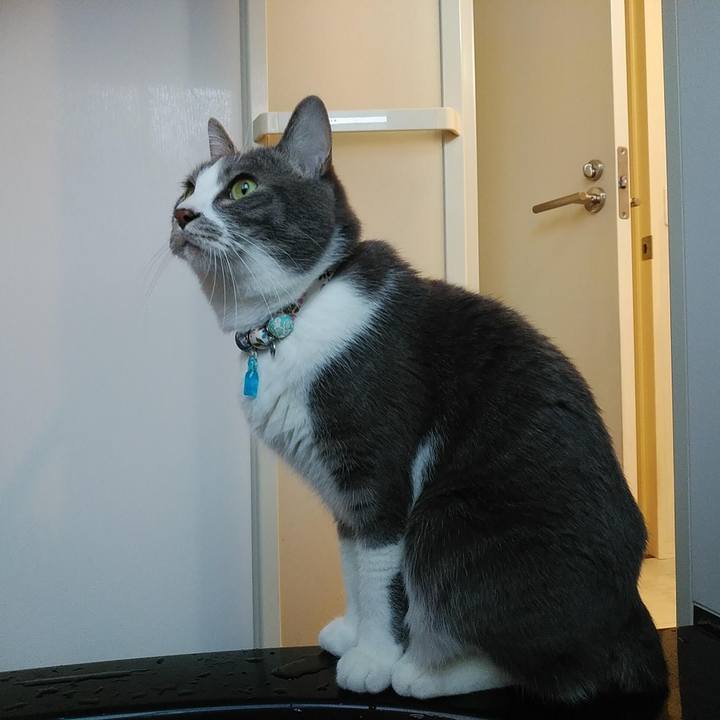 48cf8a3a 6a9d 4450 886d fafcbd22147e 1672310543995