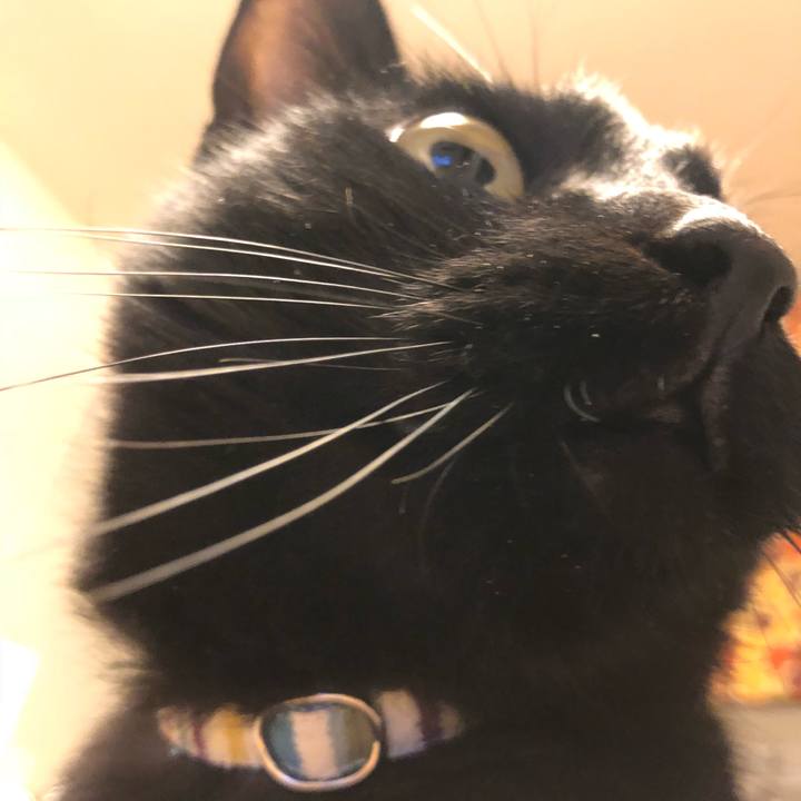 48cf8aa1 b86c 4881 9e8b 49908668f578 1518233630865