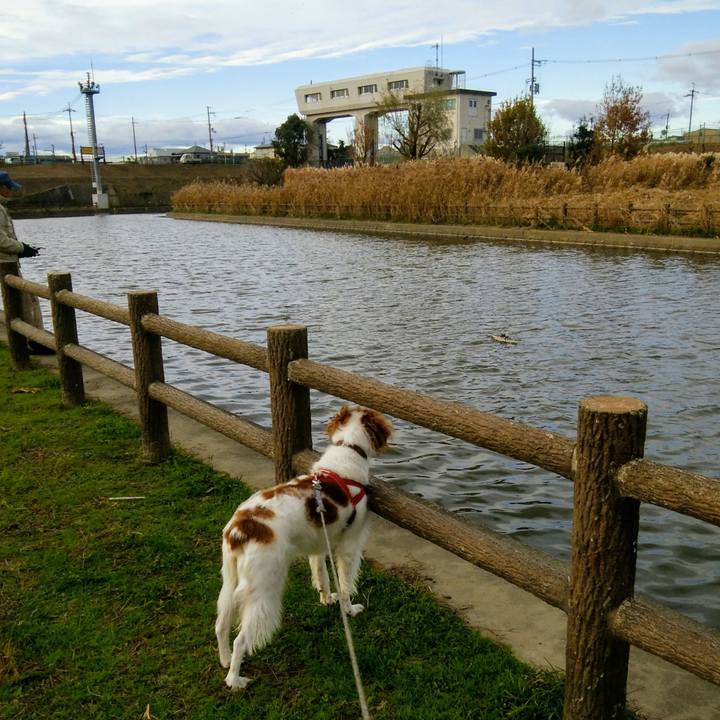 48cfa157 a374 441b 8322 278566487c68 1544342967928