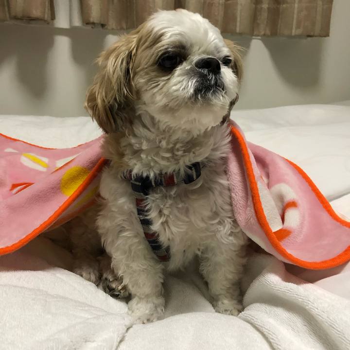 48cfb700 5e2b 4f62 95f8 ddc630a4922c 1602884484088