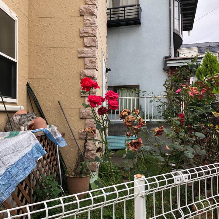 48cfc226 c960 4ca2 8b67 0ffff46061f2 1528978283810