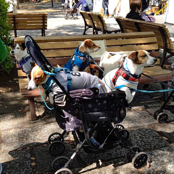 48d0147c 5498 48d8 b79a 2a36a0f5ae4a 1618030614372