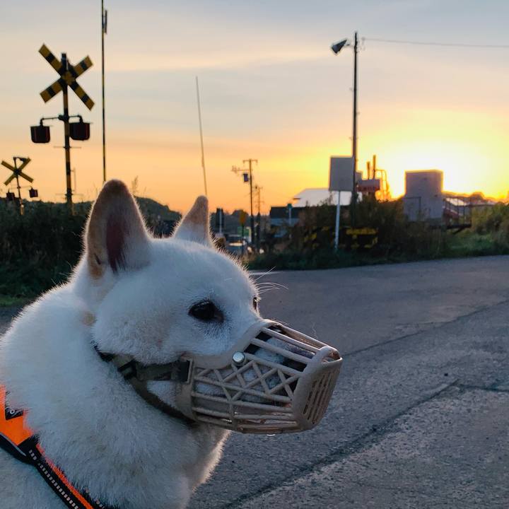 48d074ae a31d 40af aae5 e9236d4e4585 1633817044473