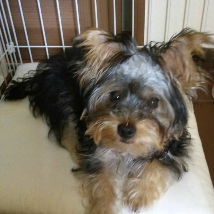 48d0a91d 5eb6 49c0 8de0 4621e76b0856 1534073292766