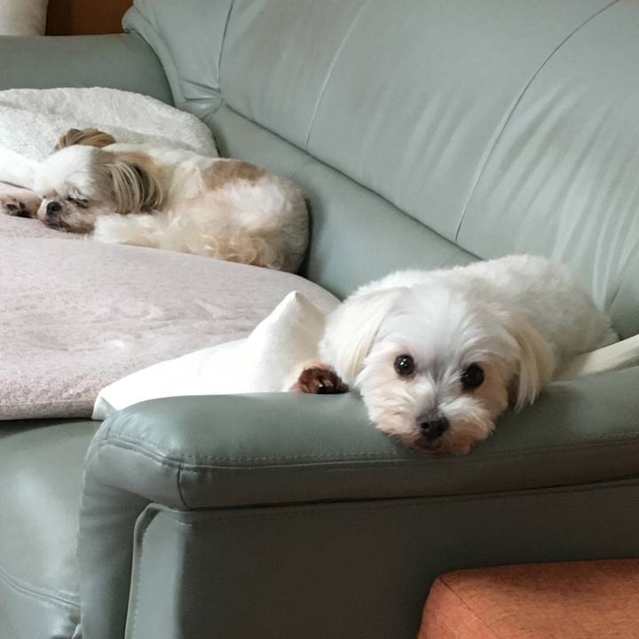 48d0c167 fd0e 4154 a0f4 f595b9e387ba 1630721346238