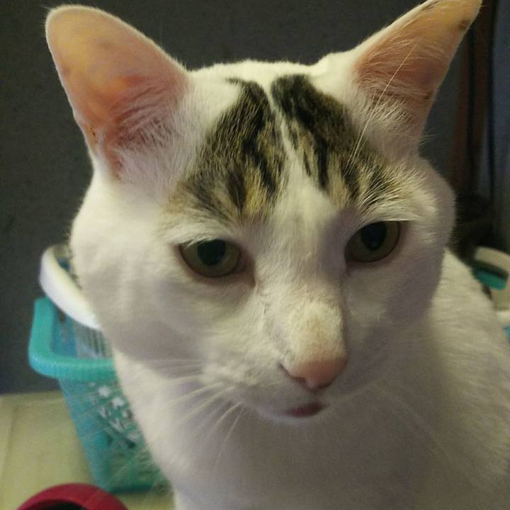 48d0cf8b e729 4fe8 8cb7 b47b4073dce6 1526206154063