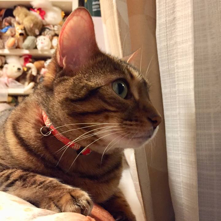 48d0f192 f45d 47d5 b70f 2403170f3290 1527220831954