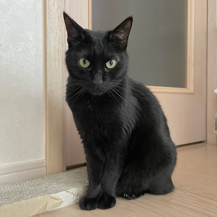 48d10dc5 16af 478e afb4 6788d8b05964 1679191123885