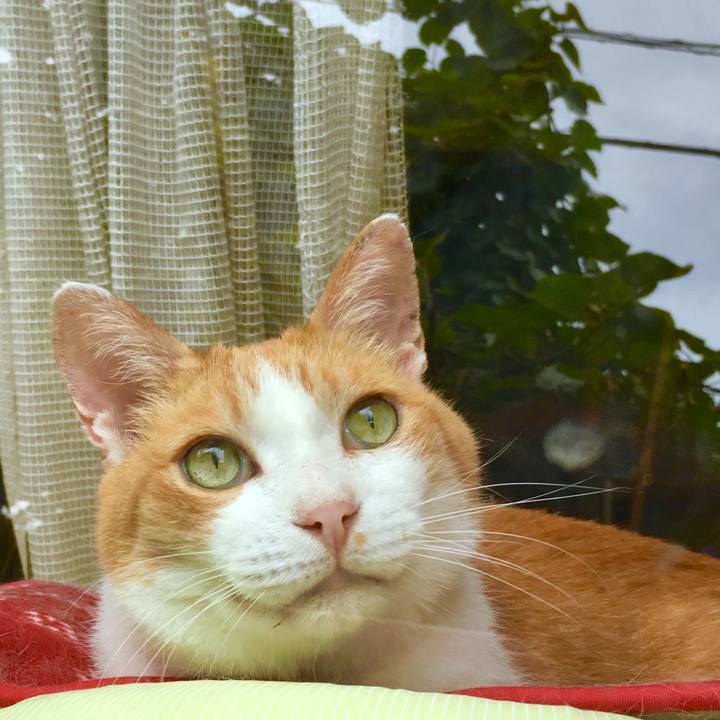 48d10ea5 a128 44d8 a550 8fb42090b334 1566875856986