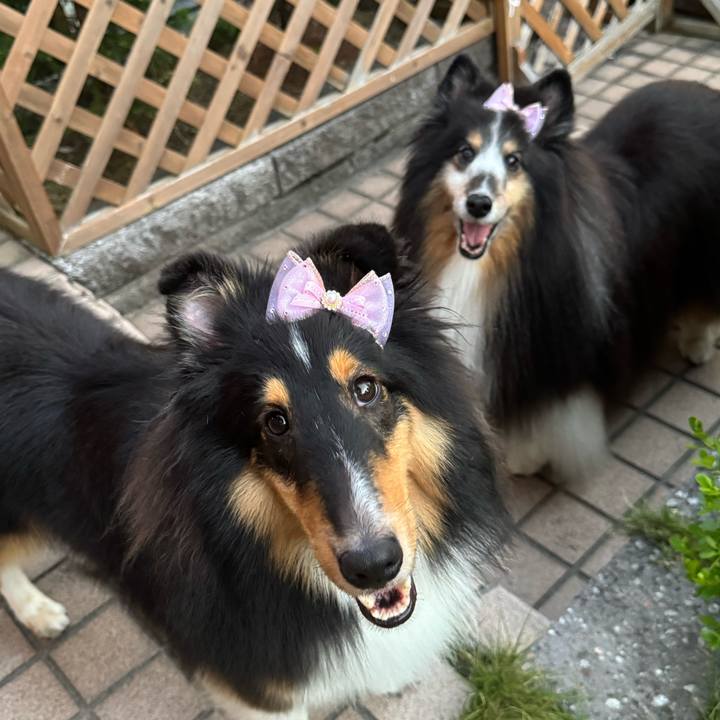 48d152a3 8da8 4dc4 8617 fafbfcf20ba5 1752352617902