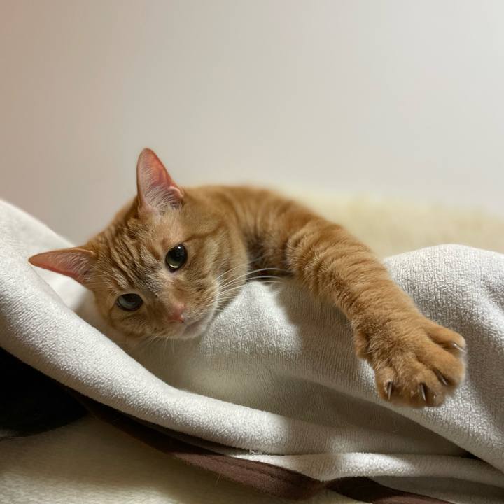 48d155d4 6d7f 41c6 9969 2c7355eb6b3a 1644626889801