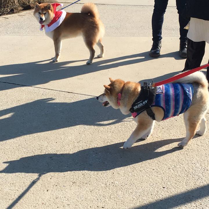 48d16b86 94ec 4a4d bc3d 4b166ce8bbb5 1576315931001