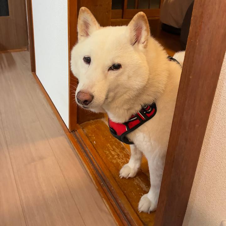 48d19b4f bf37 4172 b80e 01fbe1bad92e 1766148096128