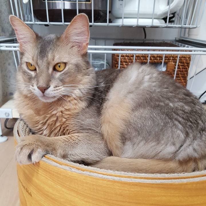 48d1a7a2 a4b1 47df 8ae9 bb26039c24c7 1572071508842