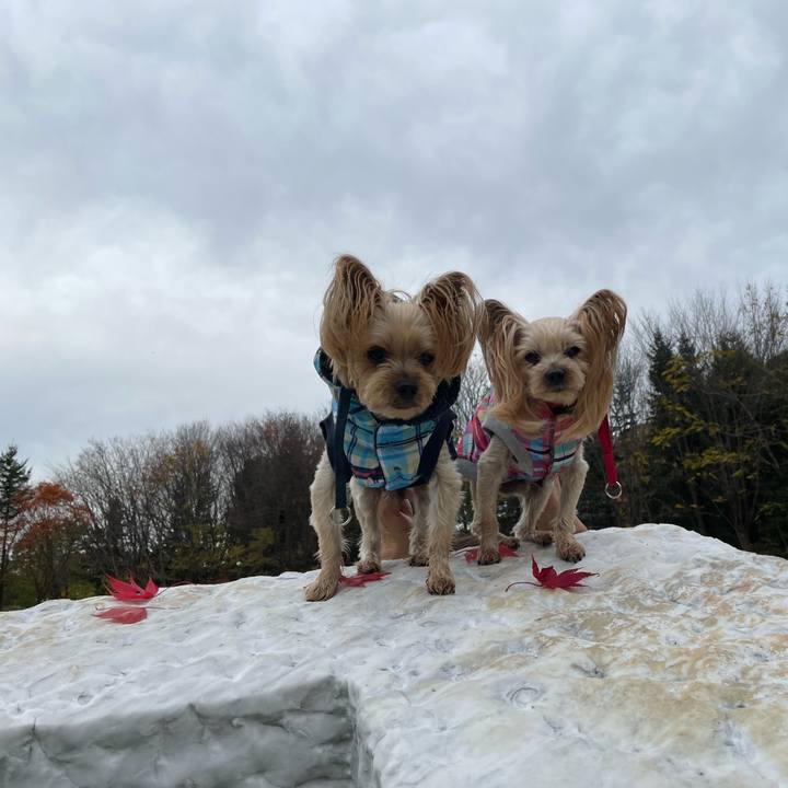 48d1b017 f25a 4097 bb17 1e675db55721 1635756935065