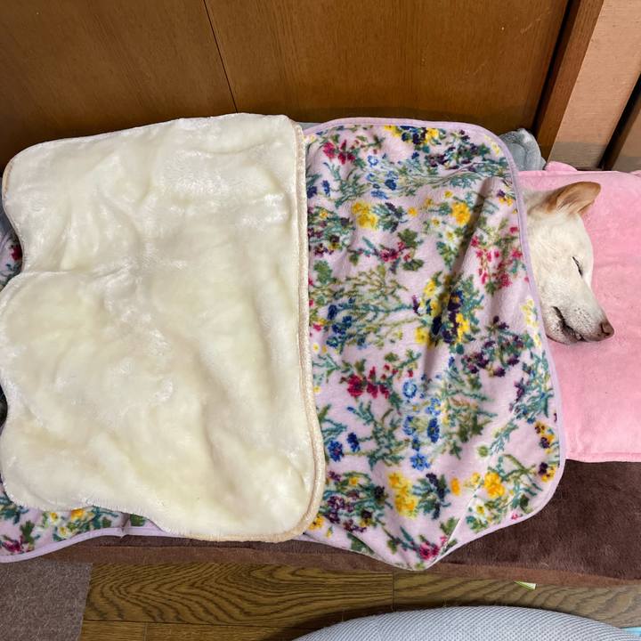 48d1b150 ea48 4cb5 878a 3bf69a682d22 1646607533513