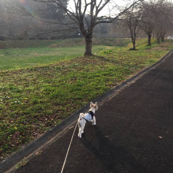 48d1d7c6 1489 47bb a6c6 62022f48a2a7 1543925878189