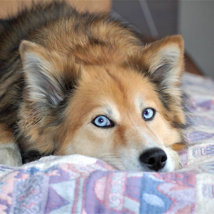 48d1d971 93d8 492a 88e7 02e78c975976 1517390550911