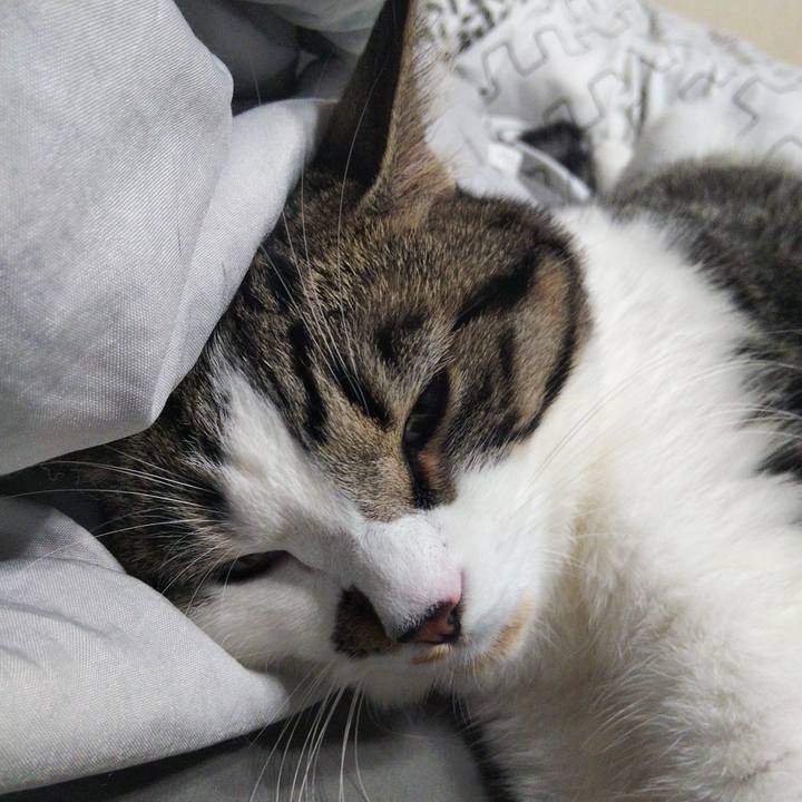 48d1e4d1 fa81 46c0 ab3d c051cb42f8a9 1626516757860