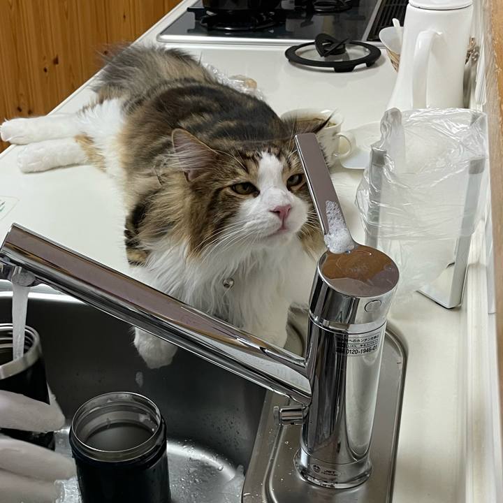 48d2102d b2d7 46bd 9357 c9bab3c2fb0f 1647338469256