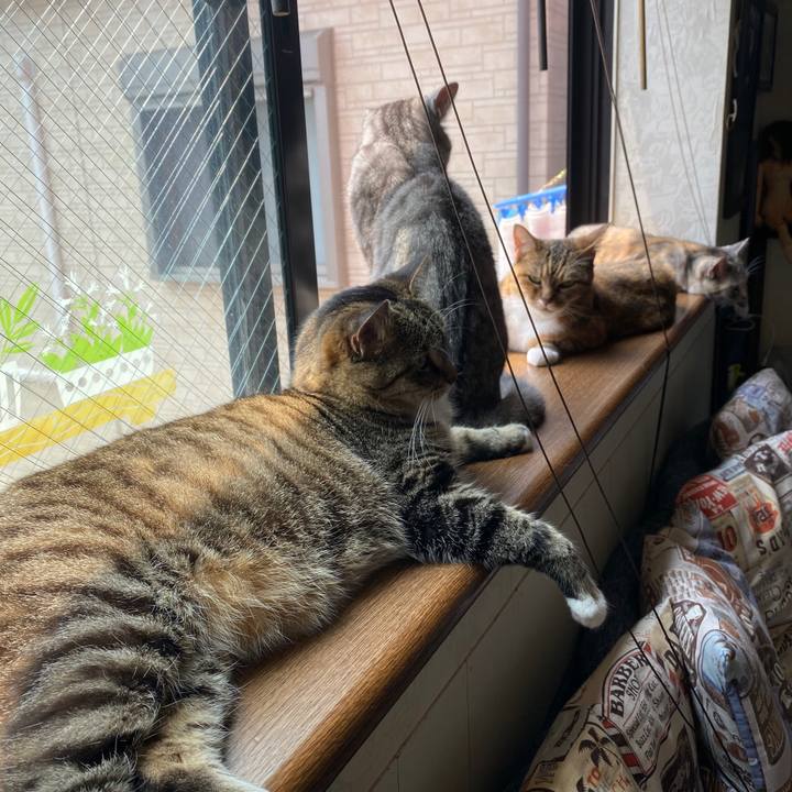 48d215b4 07e4 4063 af68 b2e57e206872 1591491721240