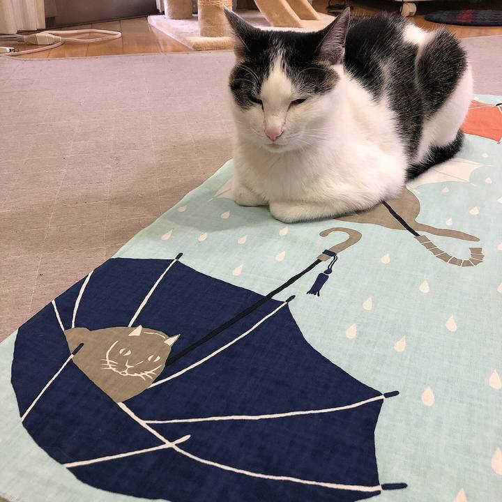 48d21f7c f439 436e b552 07b59be0ba35 1656412098733