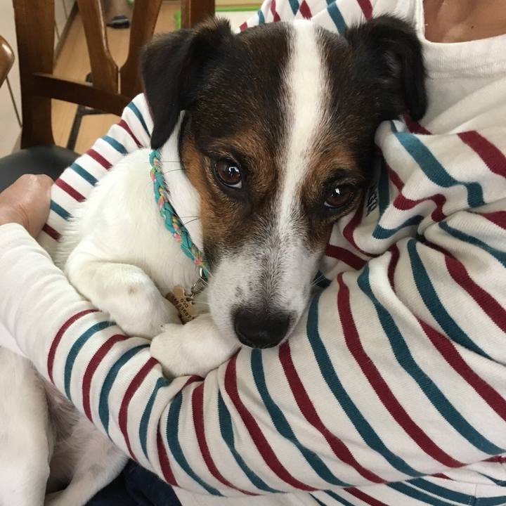 48d2765a 8d00 41e1 bb81 09a3bf4ba810 1508296770991