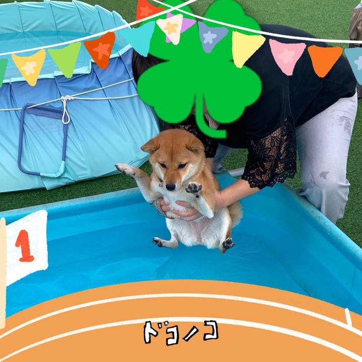 48d3173b ee34 48c9 baf6 778413af0776 1761178078875