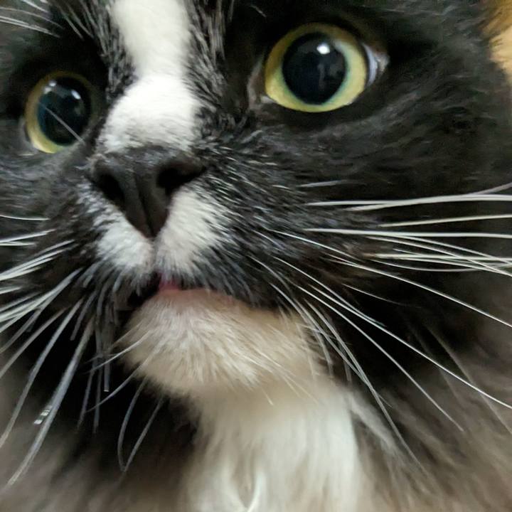 48d325bd 410a 4aa7 87e0 50634a218164 1695046116101