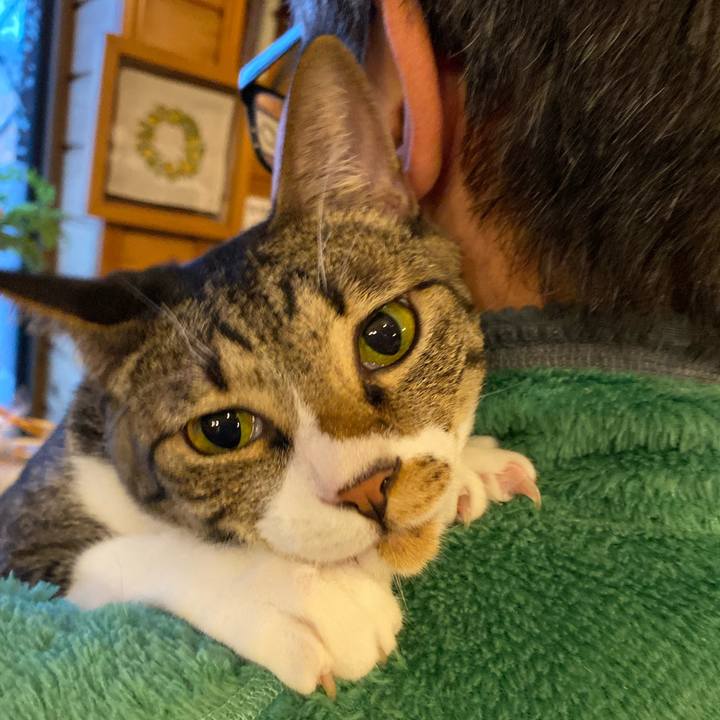 48d32b15 5416 4275 964b 3c3838a35c9c 1683971525321