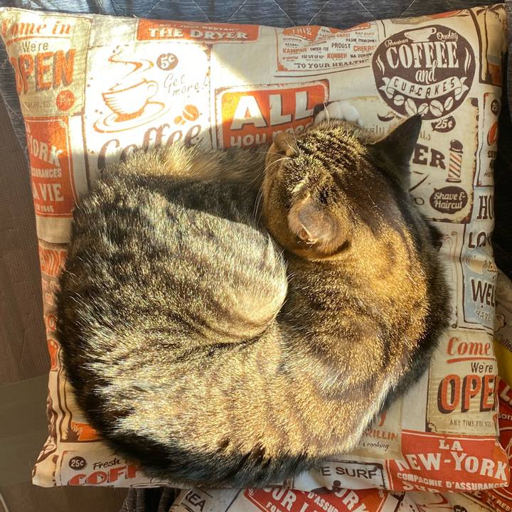 48d38aff fd5a 47e6 9eca c60c04bbc9c5 1644205884789