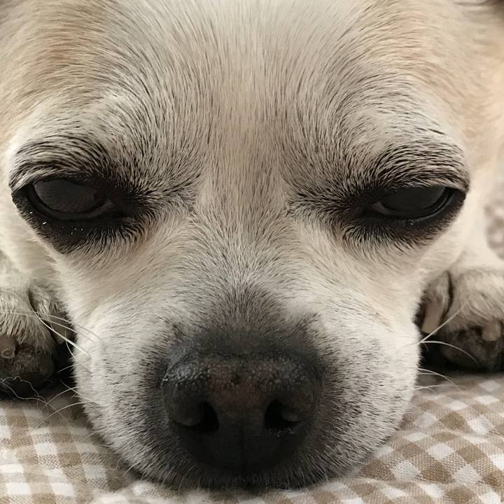 48d38b77 c082 43f8 85c2 e29397fb19ef 1523777523293