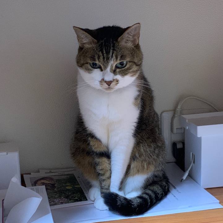 48d3a019 297b 4d60 bbf8 2eccb845e877 1650026540284