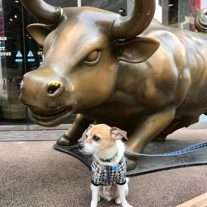 48d3be56 c706 4b64 9dd1 d4ef5e069754 1591425007934