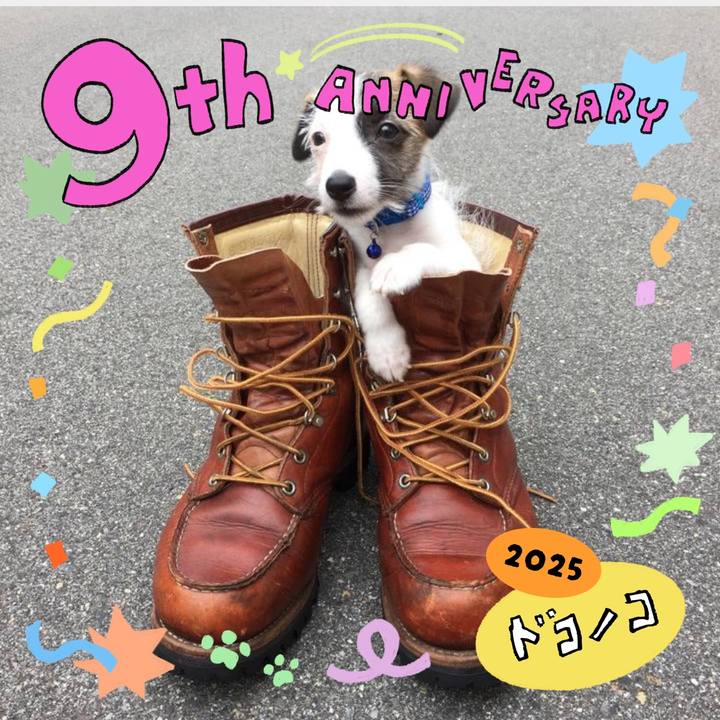 48d3c58b 8a40 49c0 932c fd5e934e1bdd 1749205360630