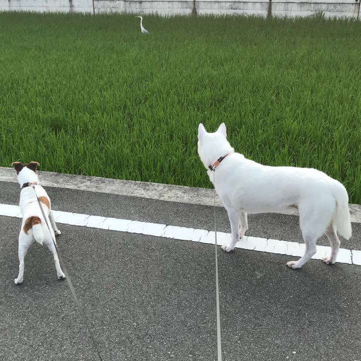 48d3c65b 30e8 438c 9043 af2e14122be4 1531778356700