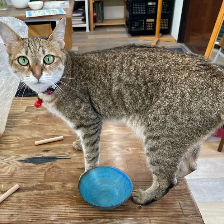 48d3e27e 3ad1 455f 82ab ab84c81e10a2 1753072860951