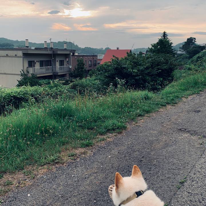 48d3f22c e43f 497d b820 d3f5db419225 1564088510725