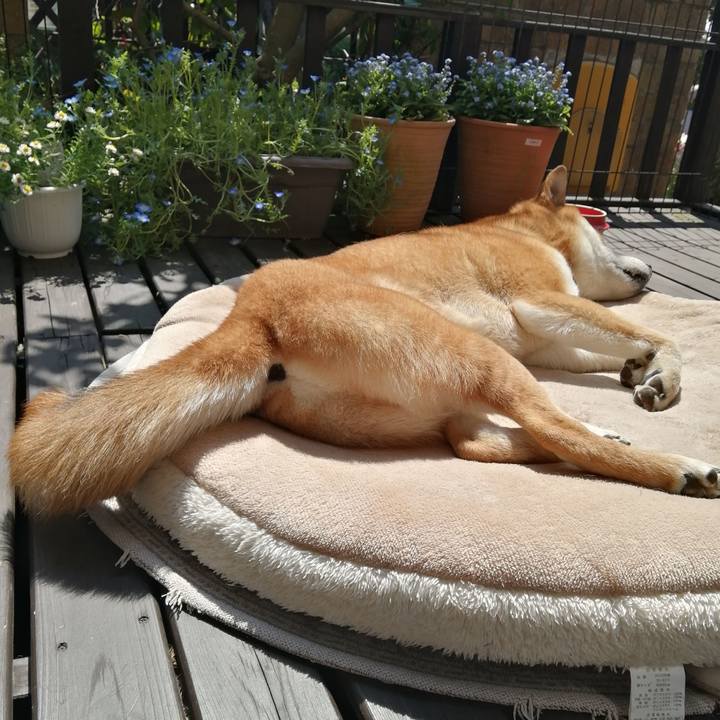 48d4252a 7577 4c80 8d72 4e76d3928889 1586171237592