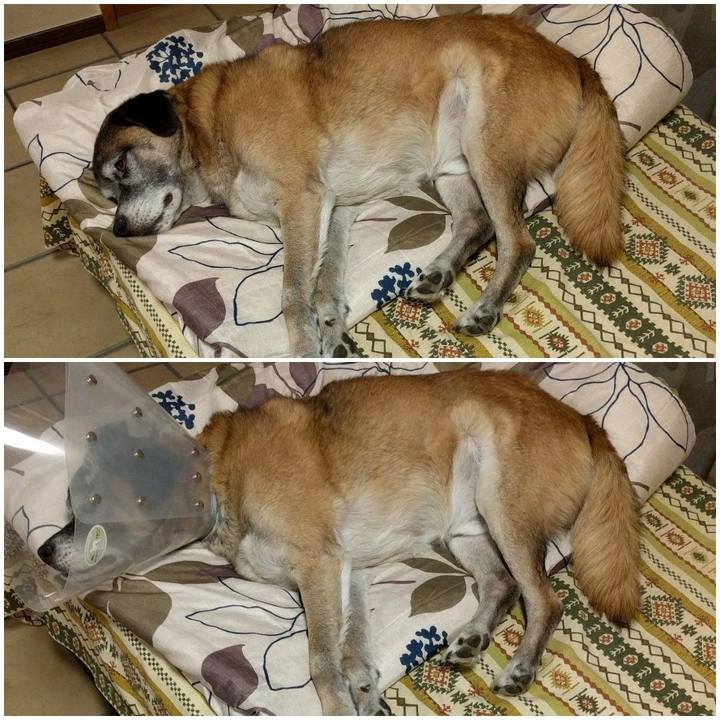 48d43bcc f1a0 4946 92ca 4296a0fb0378 1541714171332