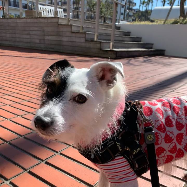 48d4454f 02f2 4172 9877 7a54004bd86d 1615692757565