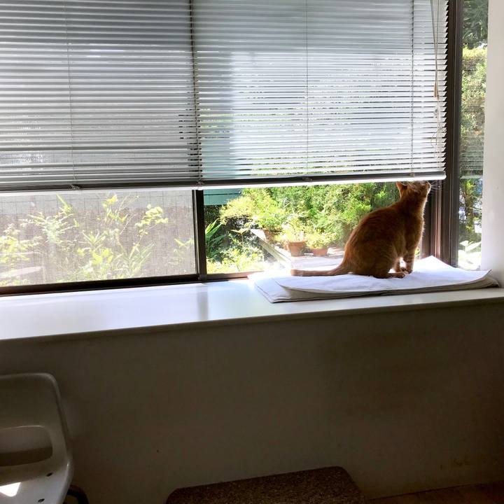 48d47391 91bb 4622 a703 c450553045e1 1532660014751