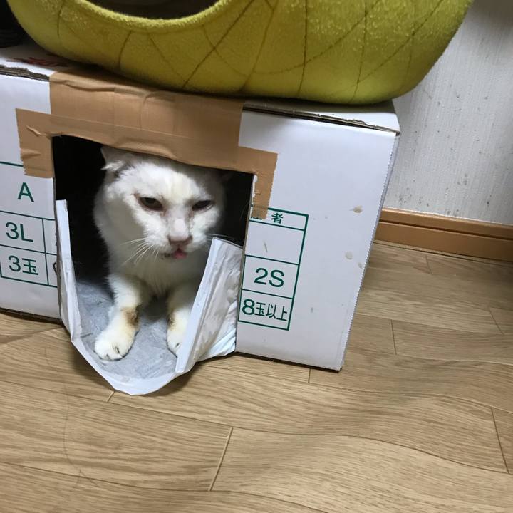 48d4a0c2 1c61 4bb7 b3ad b7972f24d39f 1560616943495