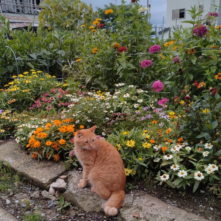 48d4ebb6 405e 4882 b633 5b0f3469df88 1722118075334