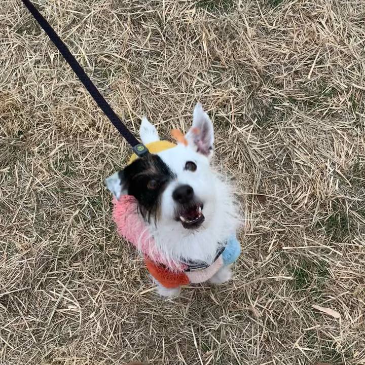 48d4ed2f f85d 4f52 ba80 7ead9f7669b2 1675150072202