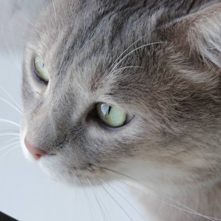 48d4f04b 8dbb 4824 8c51 b165e8290540 1630295019711