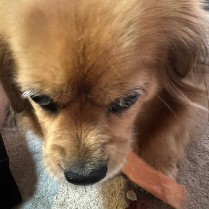 48d4f209 5421 4afc a8cd 35c0b3e5918d 1715375973350