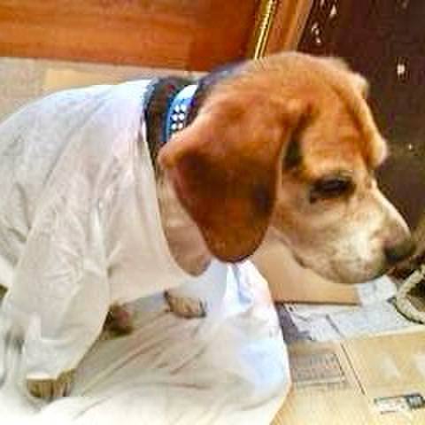 48d5081f 1250 4d9d 8ed0 c6c47a458f3d 1759290059390