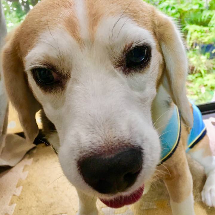 48d511ac 05d4 4c76 973b 93360c0e901d 1563700062214